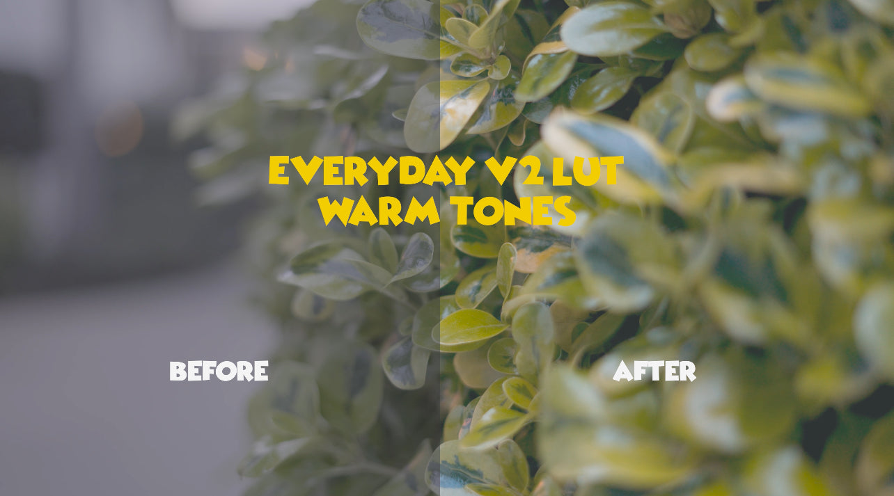 DP Lut Pack "Volume 2"